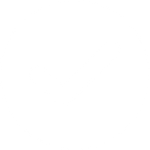 Premium quality icon