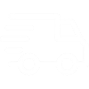 Fast delivery icon